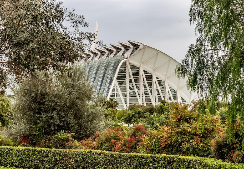 Travel Habitat Torre Francia Daire Valensiya Dış mekan fotoğraf